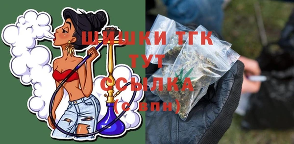 тгк Богородицк