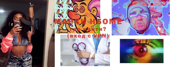 индика Бугульма