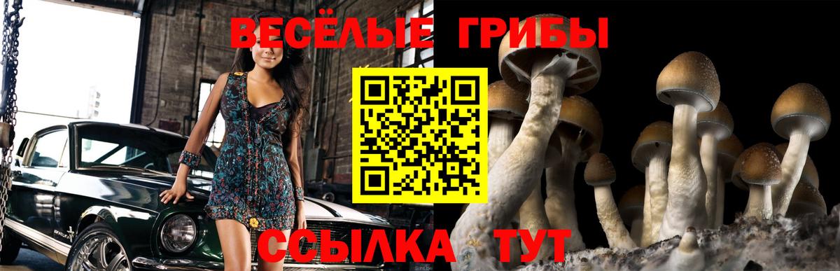 Минеральные Воды  Галлюциногенные грибы Psilocybine cubensis  Вход с VPN 