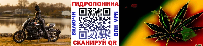 Бошки Шишки OG Kush  Минеральные Воды 